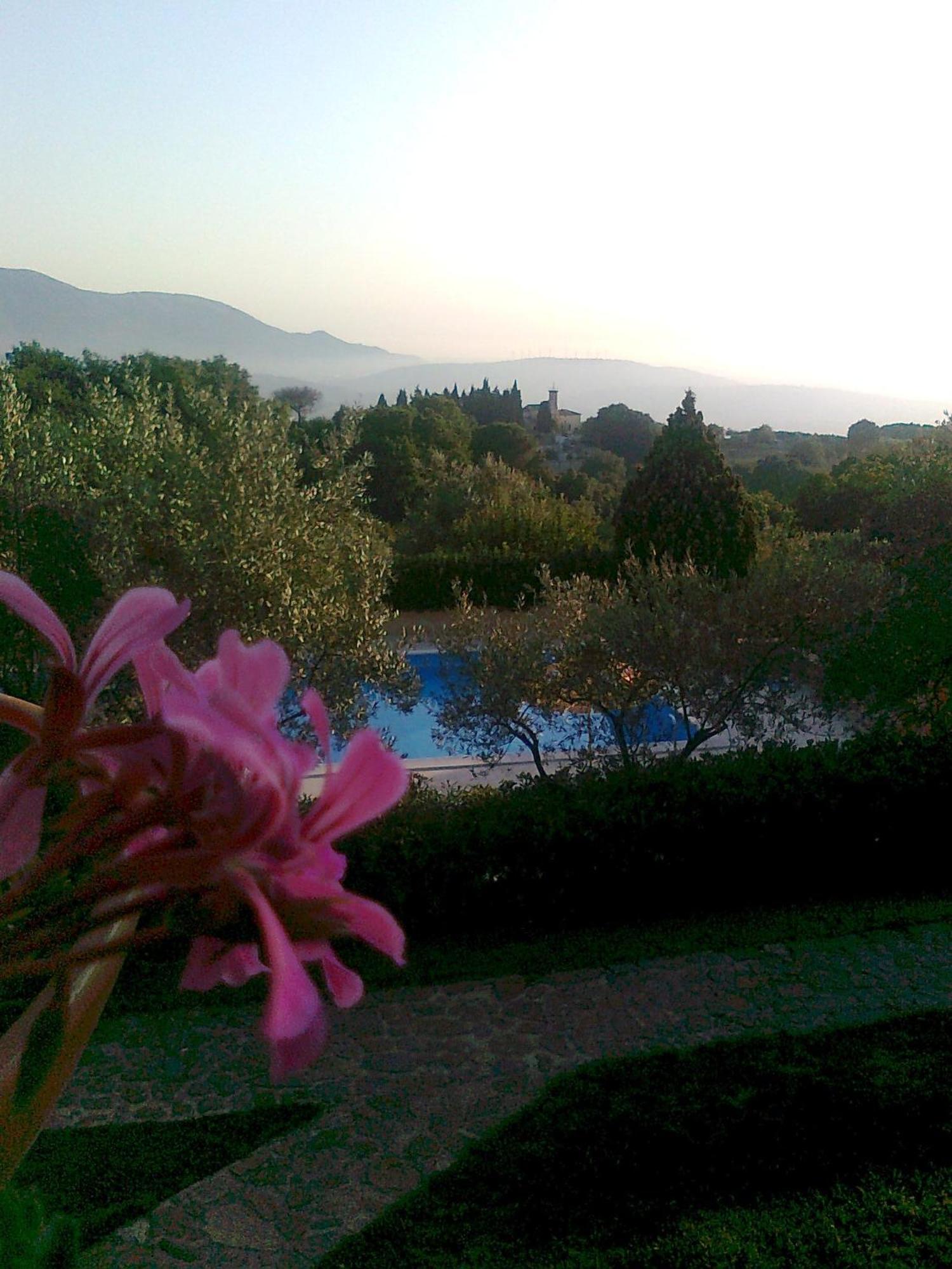 Casale Degli Ulivi Prestige Bed & Breakfast Altavilla Silentina Exterior photo