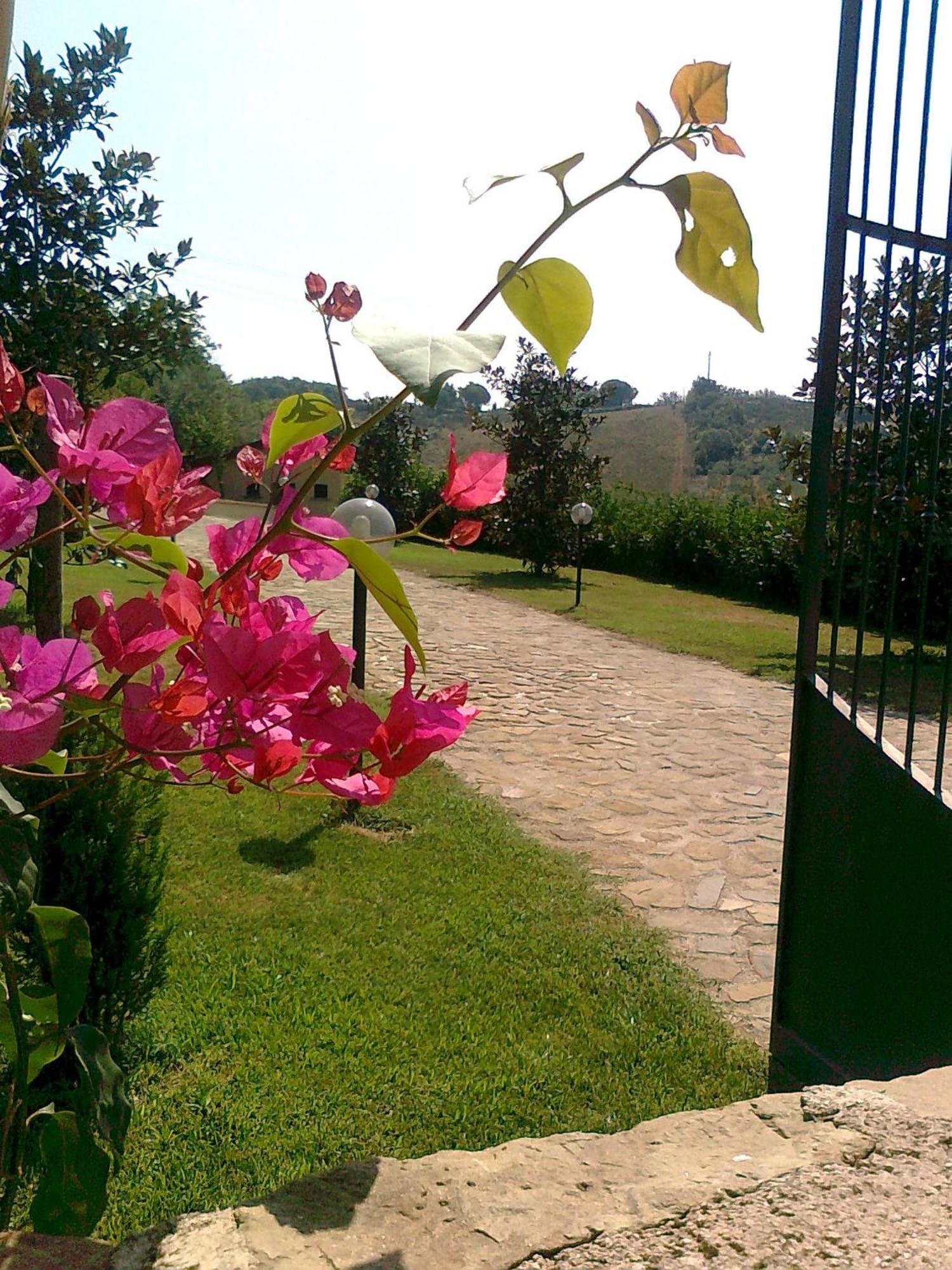 Casale Degli Ulivi Prestige Bed & Breakfast Altavilla Silentina Exterior photo