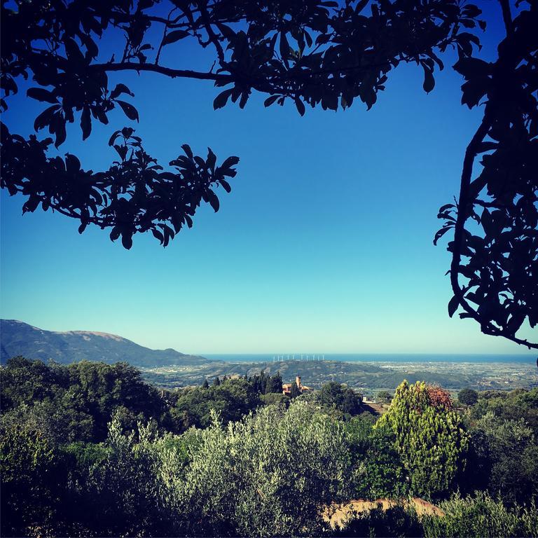 Casale Degli Ulivi Prestige Bed & Breakfast Altavilla Silentina Exterior photo