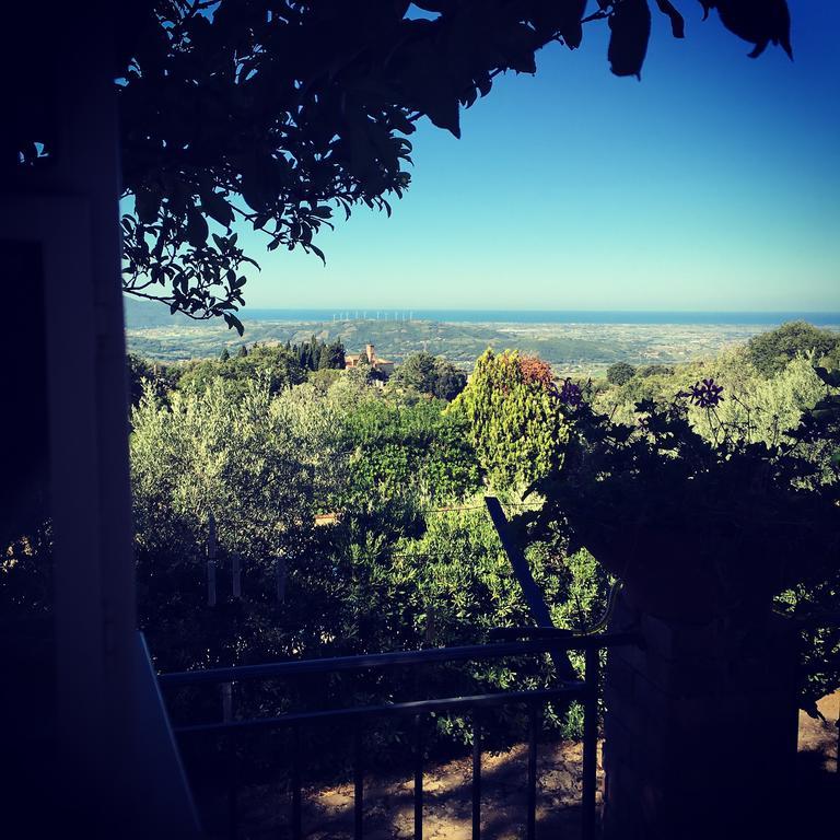 Casale Degli Ulivi Prestige Bed & Breakfast Altavilla Silentina Exterior photo